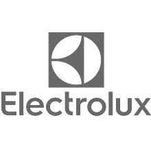 Logo Electrolux logo - A StandardsCourses client