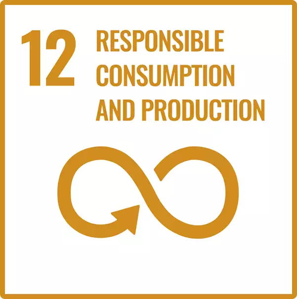 UN Sustainable Development Goal 12