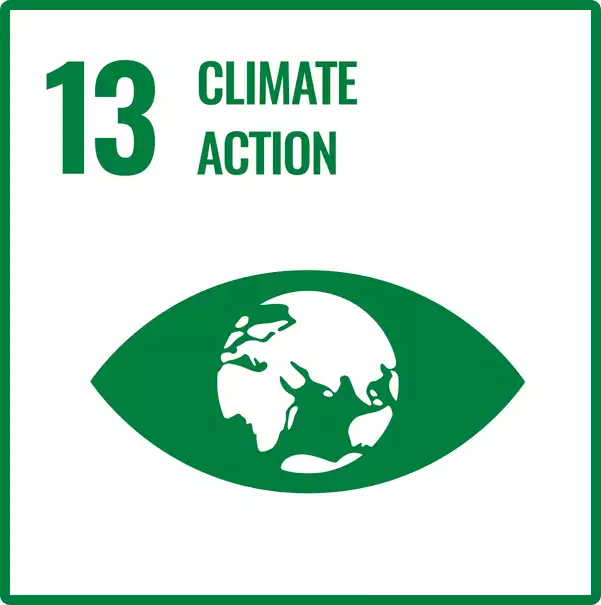 UN Sustainable Development Goal 13