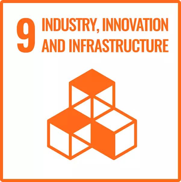 UN Sustainable Development Goal 9